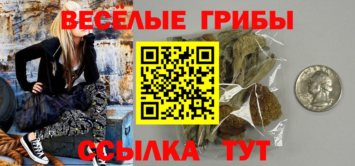 Галлюциногенные грибы MAGIC MUSHROOMS  Вход с VPN  Москва 