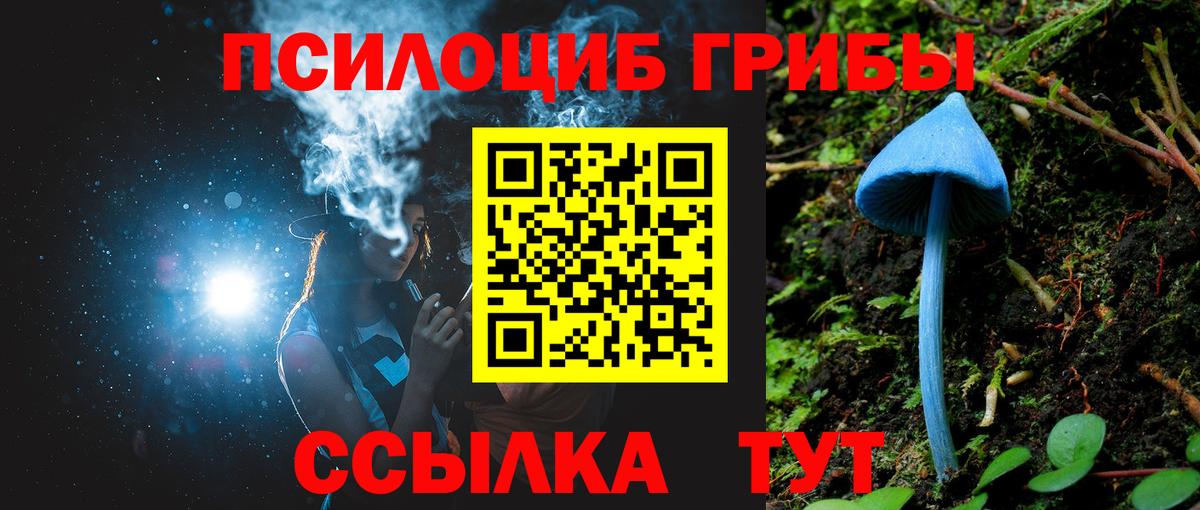 Галлюциногенные грибы Magic Shrooms Москва